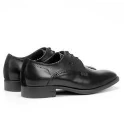 Fluchos LUKE F1056 Zapato Negro Outlet