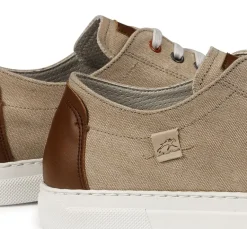 Fluchos NIKO F1415 Deportivo Taupe Online