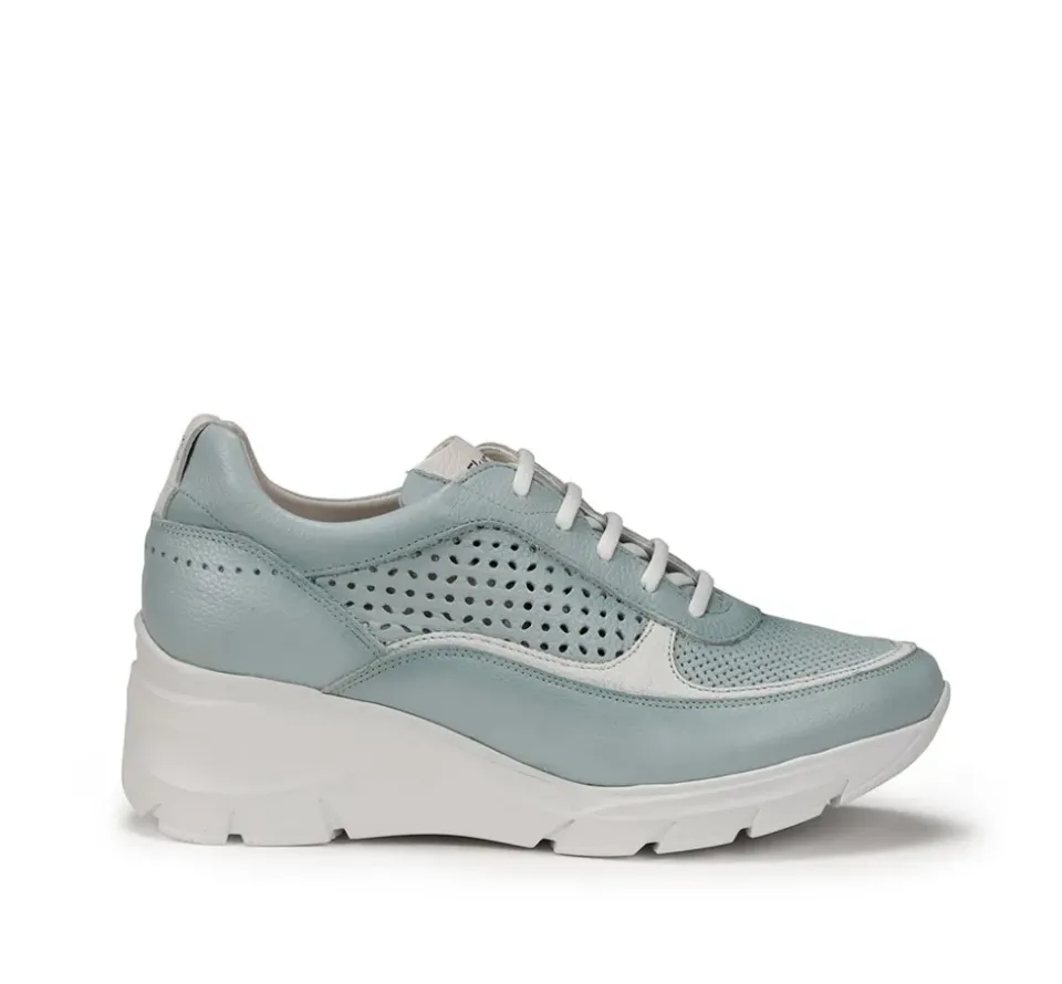 Fluchos OLAS F1407 Deportivo Celeste Online