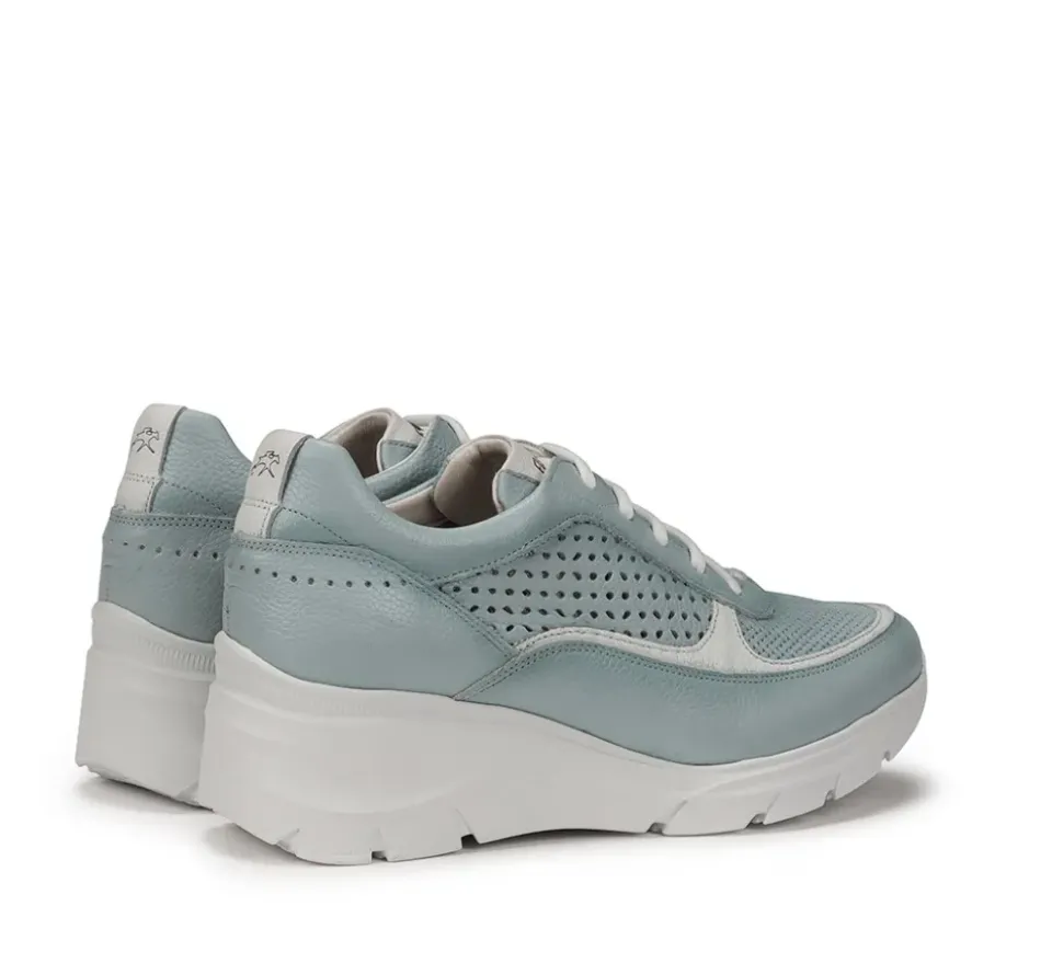 Fluchos OLAS F1407 Deportivo Celeste Online