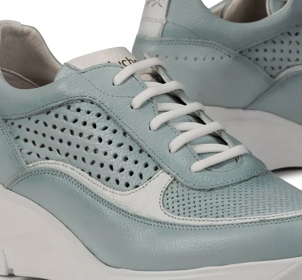 Fluchos OLAS F1407 Deportivo Celeste Online