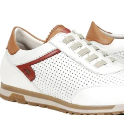 Fluchos SANDER F1189 Deportivo Blanco Hot