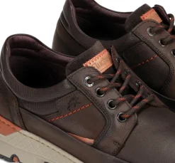 Fluchos SIGURD F1843 Zapato Marrón Best